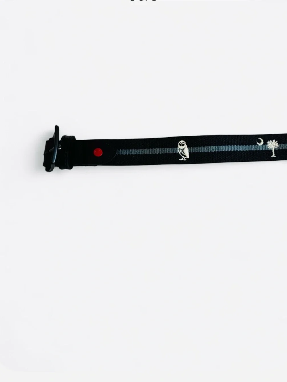 Men's Black Belt with Blue Stripe - Casual Webbing Strap